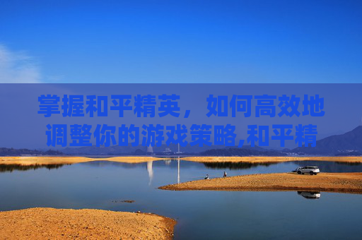 掌握和平精英，如何高效地调整你的游戏策略,和平精英怎么改比例16:9
