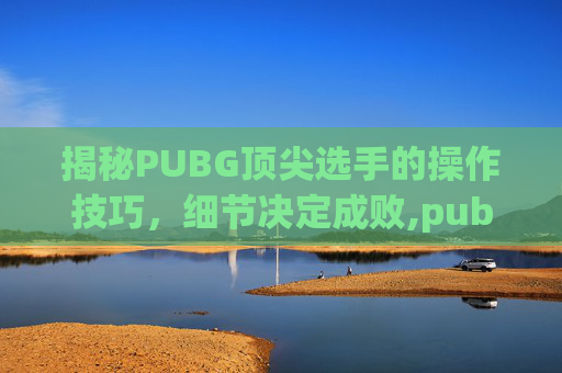 揭秘PUBG顶尖选手的操作技巧，细节决定成败,pubg职业选手灵敏度设置