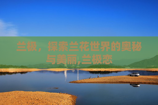 兰极，探索兰花世界的奥秘与美丽,兰极恋