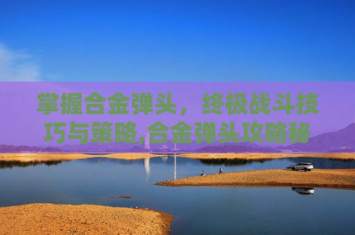 掌握合金弹头，终极战斗技巧与策略,合金弹头攻略秘籍