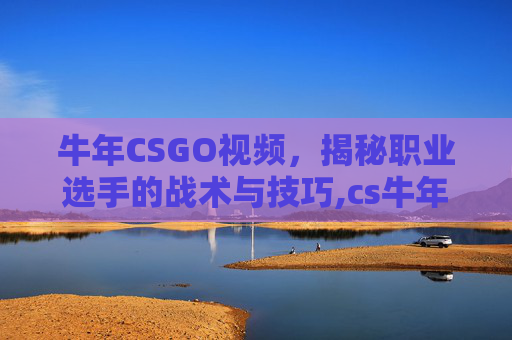 牛年CSGO视频，揭秘职业选手的战术与技巧,cs牛年武器