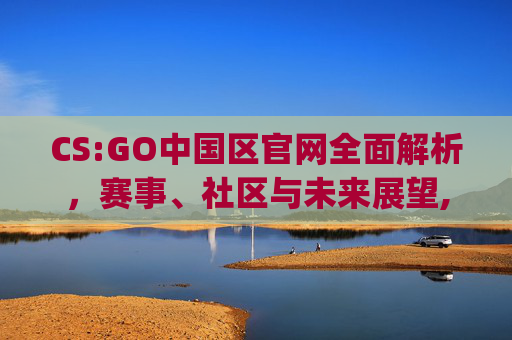 CS:GO中国区官网全面解析，赛事、社区与未来展望,csgo官网首页