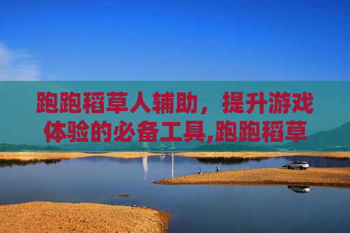 跑跑稻草人辅助，提升游戏体验的必备工具,跑跑稻草人辅助怎么用
