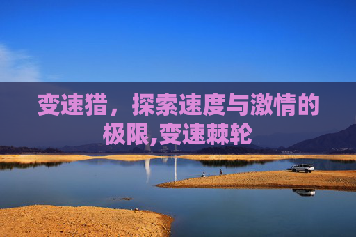 变速猎，探索速度与激情的极限,变速棘轮