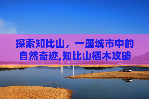 探索知比山，一座城市中的自然奇迹,知比山栖木攻略