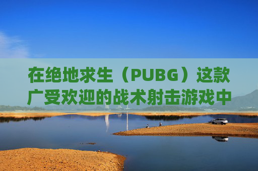 在绝地求生（PUBG）这款广受欢迎的战术射击游戏中，寻找并加入队友是提高生存几率和游戏乐趣的关键。以下是一些步骤和技巧，帮助你在游戏中搜索并找到合适的队友。,pubg怎么搜索好友