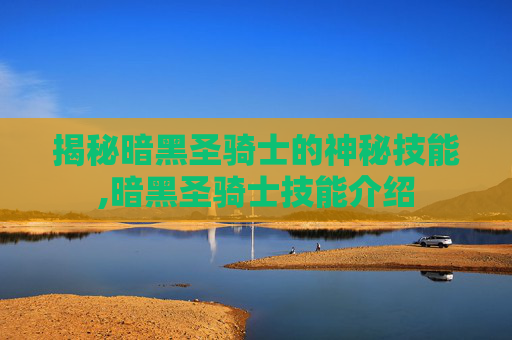 揭秘暗黑圣骑士的神秘技能,暗黑圣骑士技能介绍