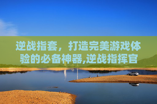 逆战指套，打造完美游戏体验的必备神器,逆战指挥官短剑