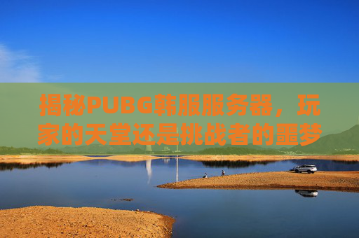 揭秘PUBG韩服服务器，玩家的天堂还是挑战者的噩梦？,PUBG服务器