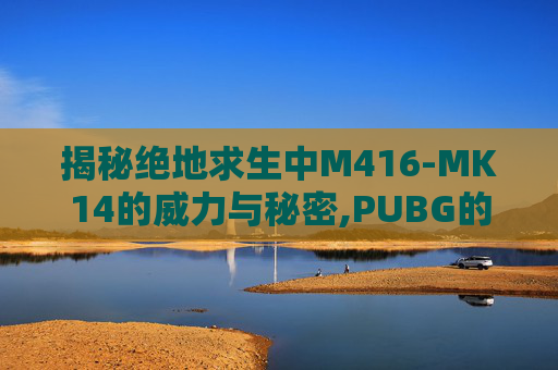揭秘绝地求生中M416-MK14的威力与秘密,PUBG的mk14免费皮肤