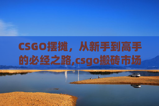 CSGO摆摊，从新手到高手的必经之路,csgo搬砖市场在哪