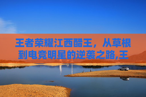 王者荣耀江西醋王，从草根到电竞明星的逆袭之路,王者荣耀战力查询江西