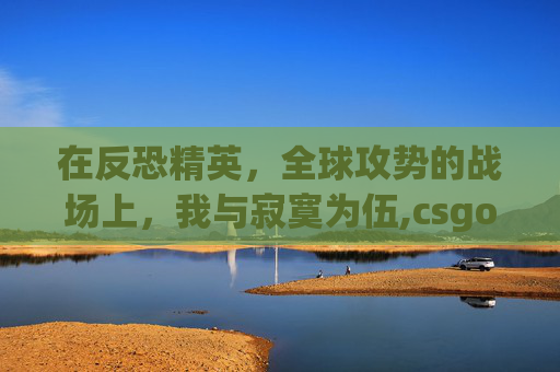 在反恐精英，全球攻势的战场上，我与寂寞为伍,csgo文案短句