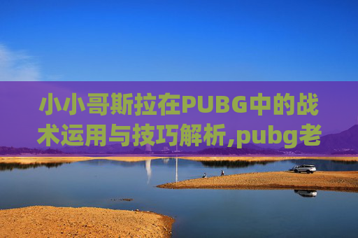 小小哥斯拉在PUBG中的战术运用与技巧解析,pubg老版本Ui哥斯拉下载