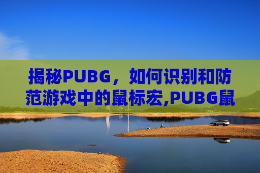 揭秘PUBG，如何识别和防范游戏中的鼠标宏,PUBG鼠标宏怎么设置