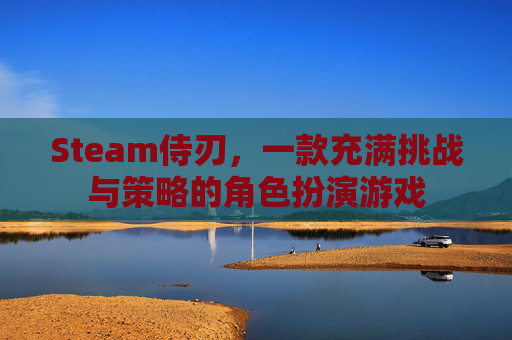 Steam侍刃，一款充满挑战与策略的角色扮演游戏
