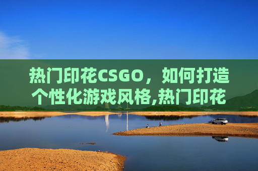 热门印花CSGO，如何打造个性化游戏风格,热门印花设计网站排行