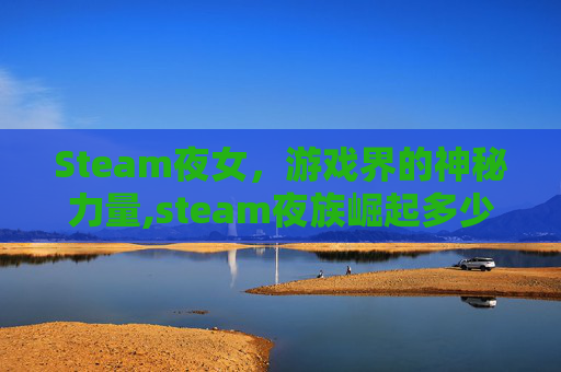 Steam夜女，游戏界的神秘力量,steam夜族崛起多少钱