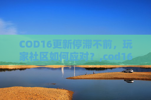 COD16更新停滞不前，玩家社区如何应对？,cod16正在下载更新不动