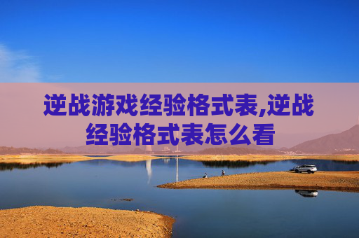 逆战游戏经验格式表,逆战经验格式表怎么看