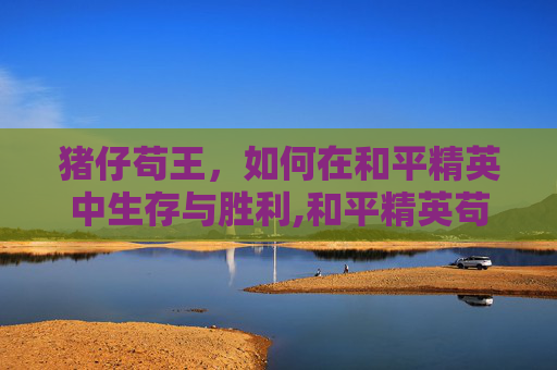 猪仔苟王，如何在和平精英中生存与胜利,和平精英苟分王的穿搭