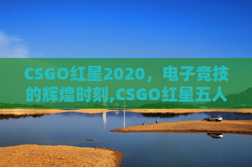 CSGO红星2020，电子竞技的辉煌时刻,CSGO红星五人组