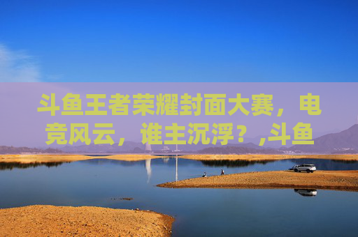 斗鱼王者荣耀封面大赛，电竞风云，谁主沉浮？,斗鱼王者荣耀封面是谁