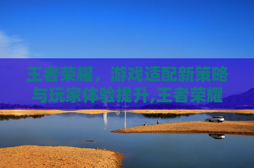 王者荣耀，游戏适配新策略与玩家体验提升,王者荣耀出现适配器怎么办
