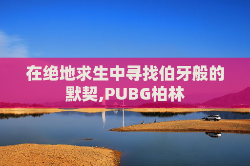 在绝地求生中寻找伯牙般的默契,PUBG柏林