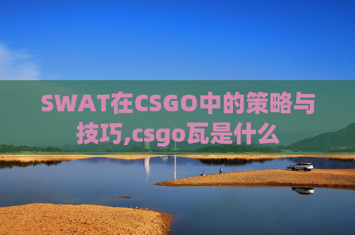 SWAT在CSGO中的策略与技巧,csgo瓦是什么