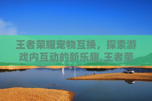 王者荣耀宠物互换，探索游戏内互动的新乐趣,王者荣耀互换位置