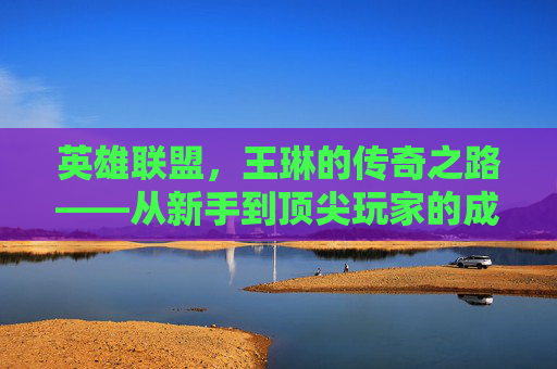 英雄联盟，王琳的传奇之路——从新手到顶尖玩家的成长之旅,王琳英文名字怎么取