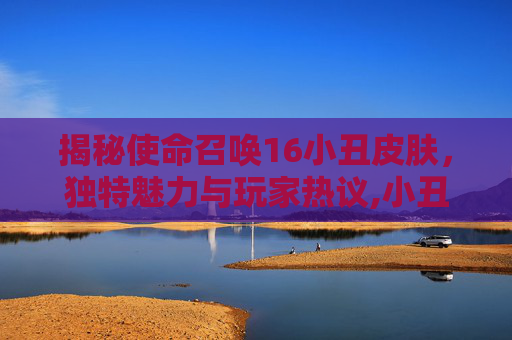 揭秘使命召唤16小丑皮肤，独特魅力与玩家热议,小丑皮肤手感排名