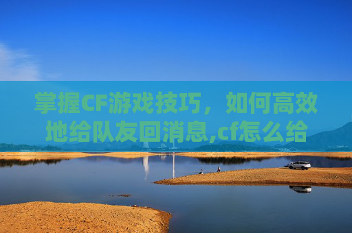 掌握CF游戏技巧，如何高效地给队友回消息,cf怎么给队友回消息啊