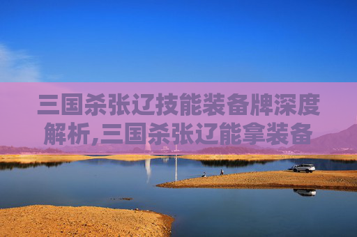 三国杀张辽技能装备牌深度解析,三国杀张辽能拿装备吗