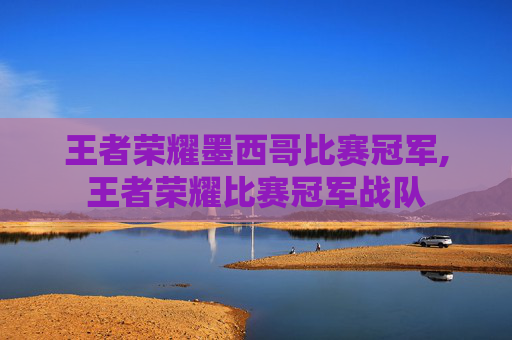 王者荣耀墨西哥比赛冠军,王者荣耀比赛冠军战队