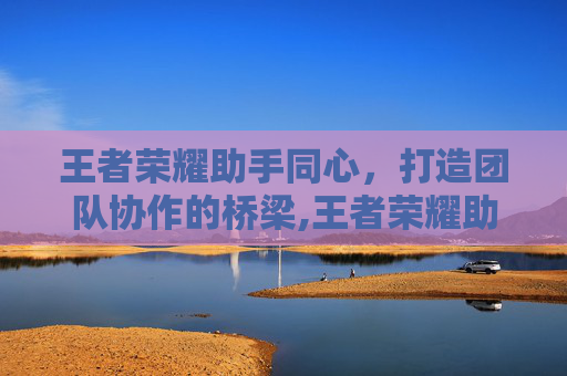 王者荣耀助手同心，打造团队协作的桥梁,王者荣耀助手安卓版