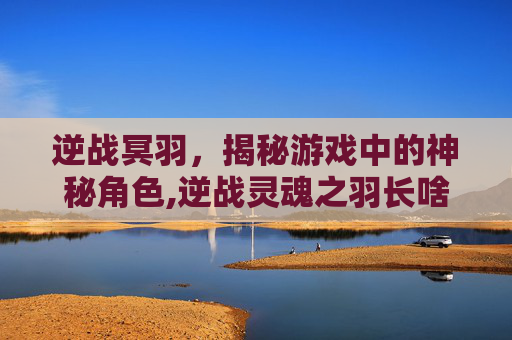 逆战冥羽，揭秘游戏中的神秘角色,逆战灵魂之羽长啥样