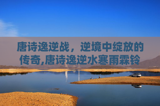 唐诗逸逆战，逆境中绽放的传奇,唐诗逸逆水寒雨霖铃