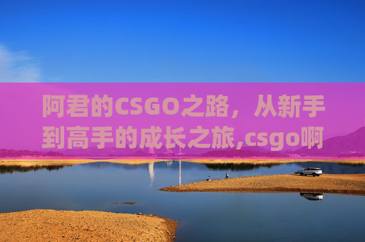 阿君的CSGO之路，从新手到高手的成长之旅,csgo啊勇