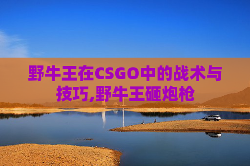 野牛王在CSGO中的战术与技巧,野牛王砸炮枪