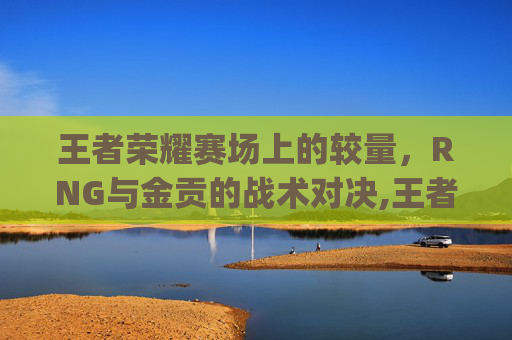 王者荣耀赛场上的较量，RNG与金贡的战术对决,王者荣耀rng和金贡的关系