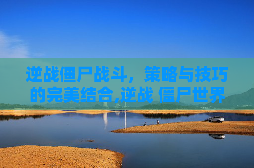逆战僵尸战斗，策略与技巧的完美结合,逆战 僵尸世界大战