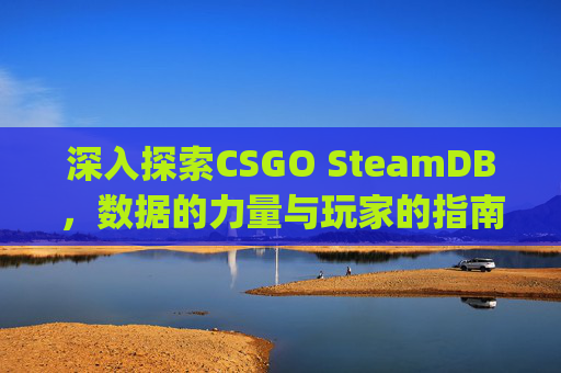 深入探索CSGO SteamDB，数据的力量与玩家的指南,csgo在steam上搜不到