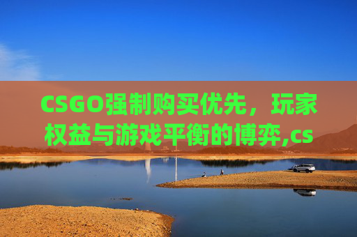 CSGO强制购买优先，玩家权益与游戏平衡的博弈,csgo新版购买优先