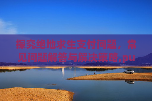探究绝地求生支付问题，常见问题解答与解决策略,pubg游戏内无法购买充值