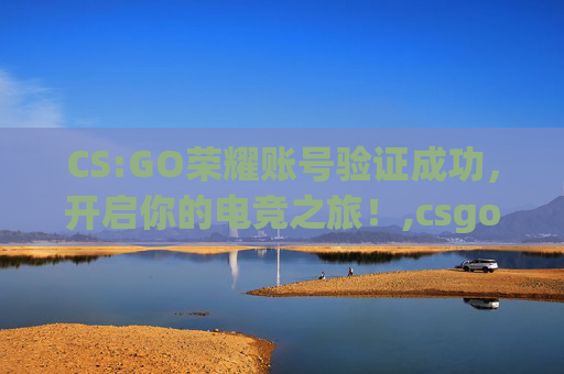 CS:GO荣耀账号验证成功，开启你的电竞之旅！,csgo荣耀账号验证成功怎么登录
