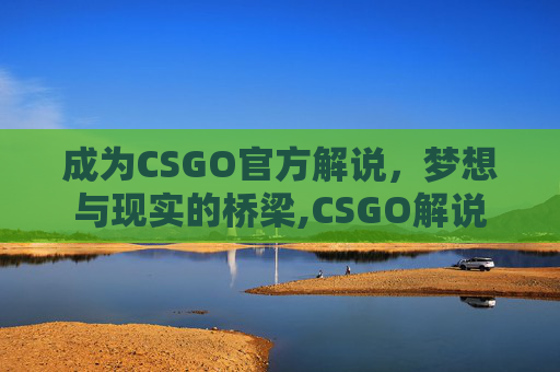成为CSGO官方解说，梦想与现实的桥梁,CSGO解说