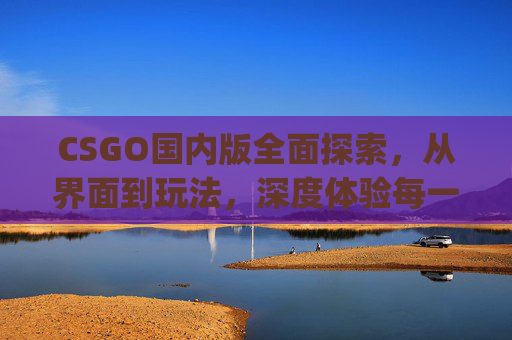 CSGO国内版全面探索，从界面到玩法，深度体验每一处体验,csgo国内代理