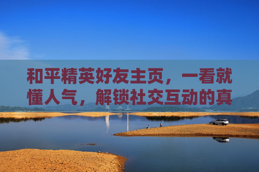 和平精英好友主页，一看就懂人气，解锁社交互动的真实价值,和平精英看好友主页怎么看